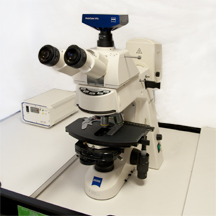 microscope axioskope