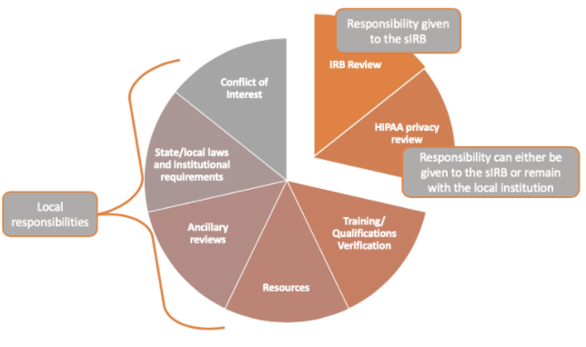 sIRB vs local review