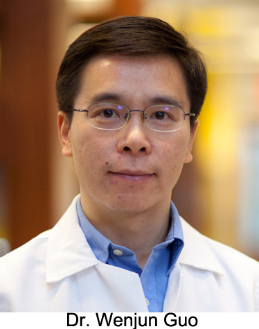 Dr. Guo
