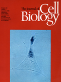 Cover of The Journal of Cell Biology, Volume 126